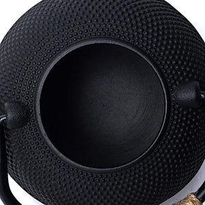Tetsubin - Japanse Gietijzeren Theepot - 0,6L
