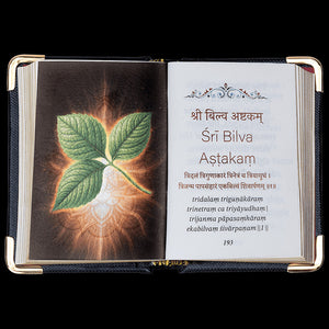 Sacred Stotras - Library Edition