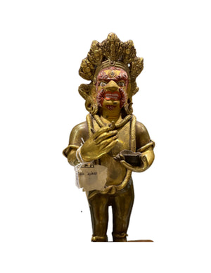 Dharmapala Goldface beeld
