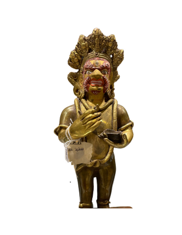 Dharmapala Goldface beeld