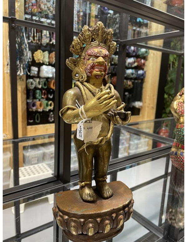 Dharmapala Goldface beeld