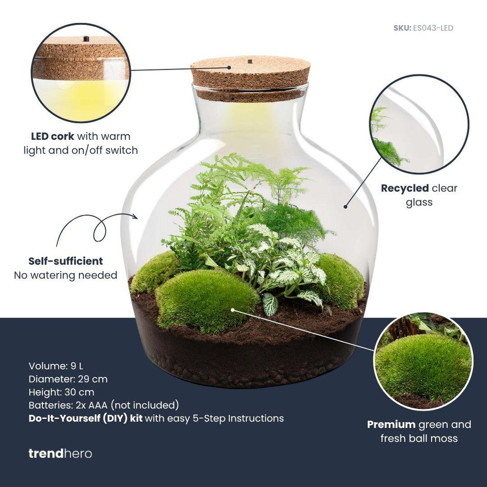 Jiva: Ziel van Groei - DIY Planten Terrarium met Licht - Ø29cm ↑30cm