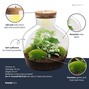 Jiva: Ziel van Groei - DIY Planten Terrarium met Licht - Ø29cm ↑30cm