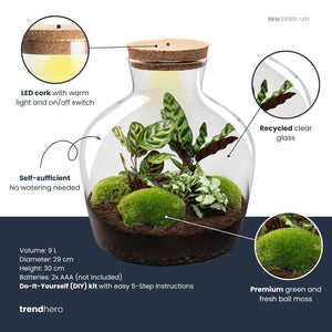 Jiva: Bonsai van Groei - DIY Planten Terrarium met licht - Ø29cm ↑30cm