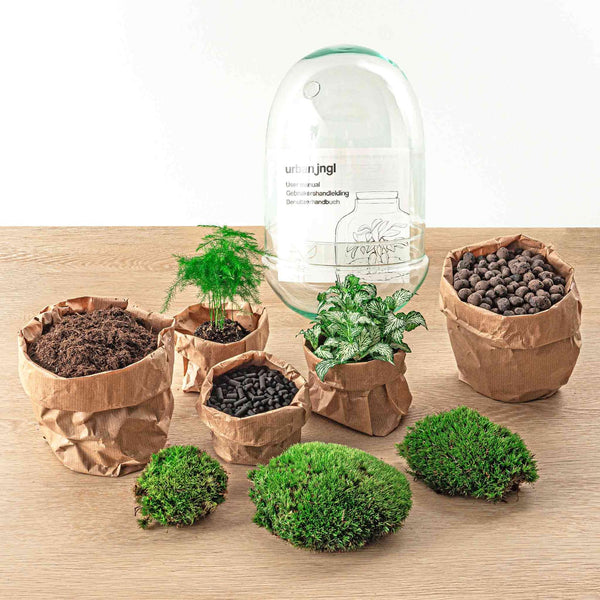 Omkara: Ei van Creatie - DIY Terrarium - ↕30cm