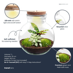 Sūrya: Bonsai van Licht - DIY Planten terrarium (met licht) - Ø25cm ↑26,5cm