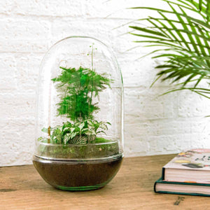 Omkara: Ei van Creatie - DIY Terrarium - ↕30cm