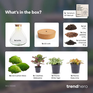 Satori: Bonsai van Ontwaking - DIY Planten Terrarium met Licht - Ø 30 cm ↑32cm