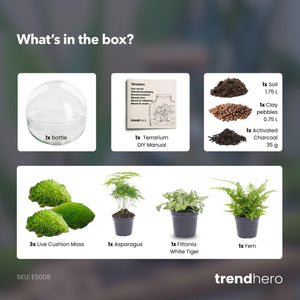 Dharma: Bonsai van Balans - DIY Planten Terrarium Tweedelig Bolglas -Ø28cm ↑28cm