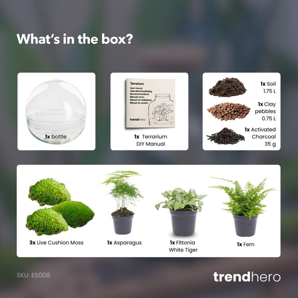 Dharma: Bonsai van Balans - DIY Planten Terrarium Tweedelig Bolglas -Ø28cm ↑28cm