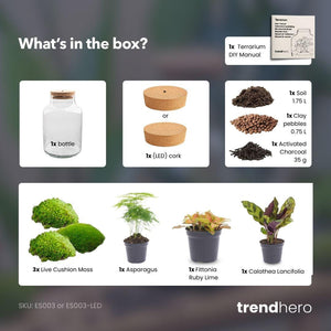 Milkyāna: Bonsai Sterrenpad - DIY Planten Terrarium met Licht - Ø21cm ↑30cm