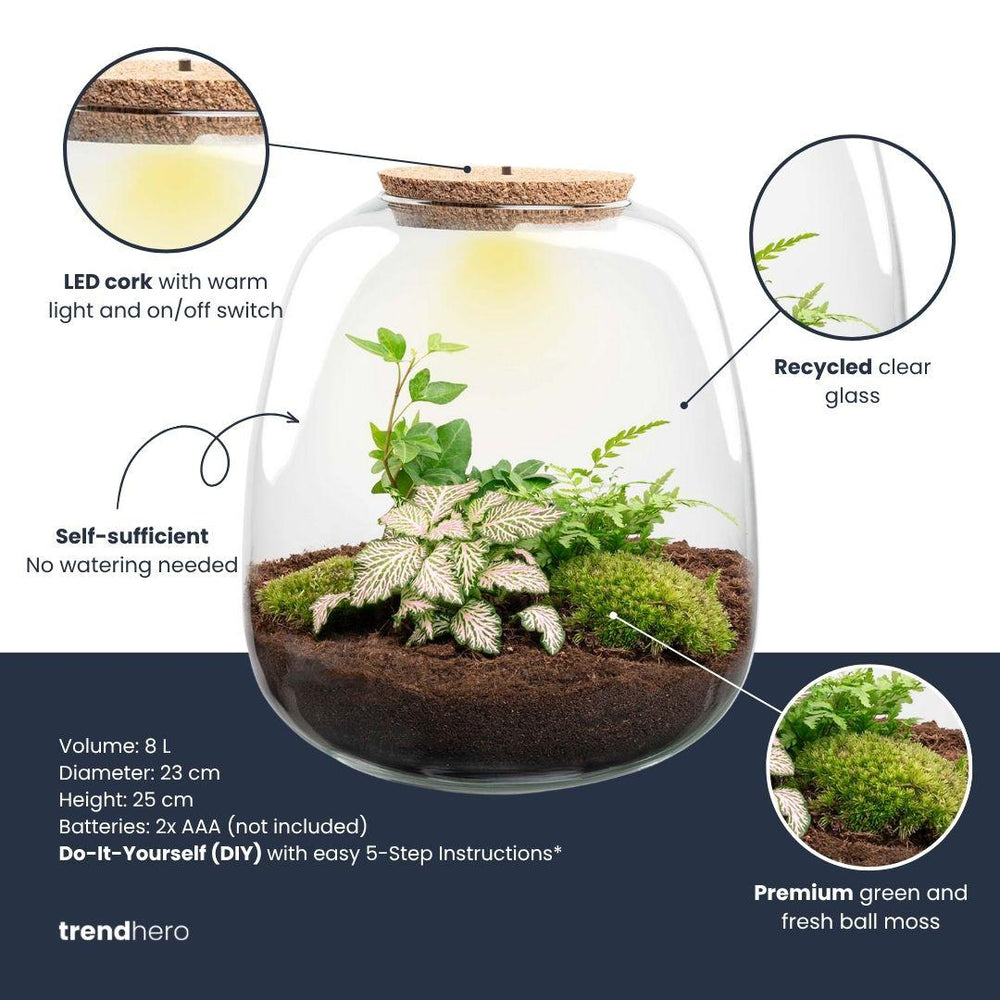 Elysia: Tuin van Stilte - Planten Terrarium - ↑15cm Ø23cm - Hedera White