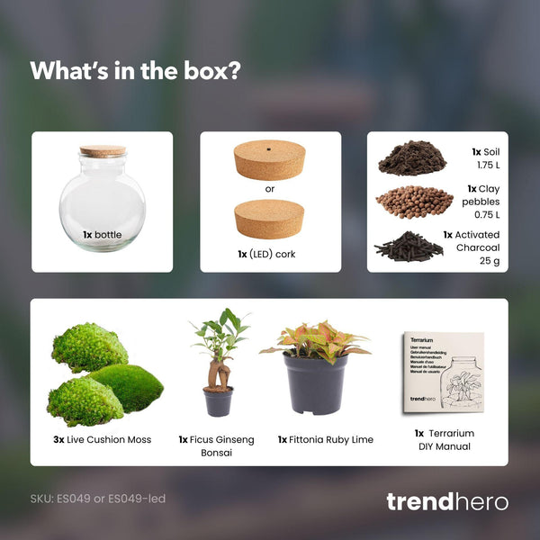 DIY Planten terrarium (met licht) - Teddy Bonsai - Ø 25 cm ↑ 26,5 cm - Met LED-kurk