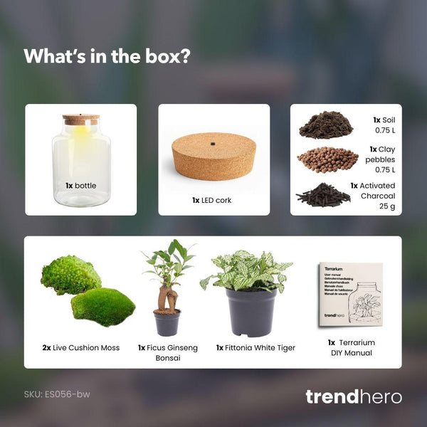 Milkyāna: Bonsai Sterrenpad - DIY Planten Terrarium met Licht - Ø17cm ↑25cm