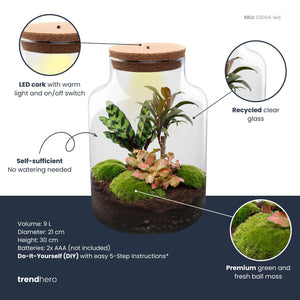 Milkyāna: Sterrenpad - DIY Planten Terrarium met Licht - Ø21cm ↑30cm