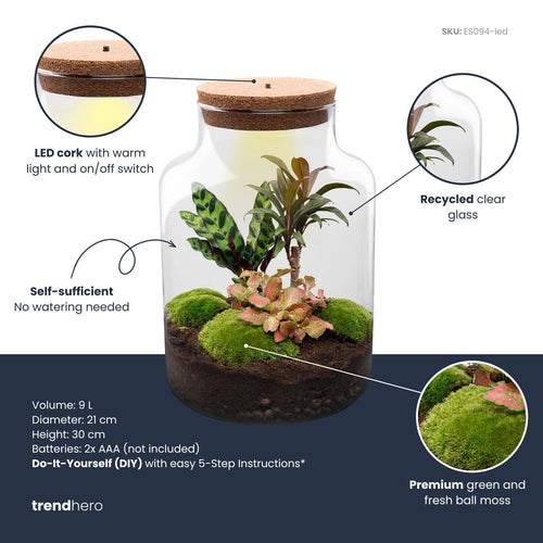Milkyāna: Sterrenpad - DIY Planten Terrarium met Licht - Ø21cm ↑30cm