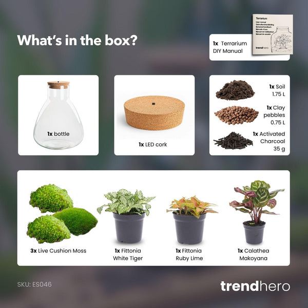 Satori: Bonsai van Ontwaking - DIY Planten Terrarium met Licht - Ø24,5cm ↑30cm