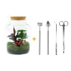 Milkyāna: Bonsai Sterrenpad - DIY Planten Terrarium met Licht - Ø21cm ↑30cm + 4-delige Toolkit