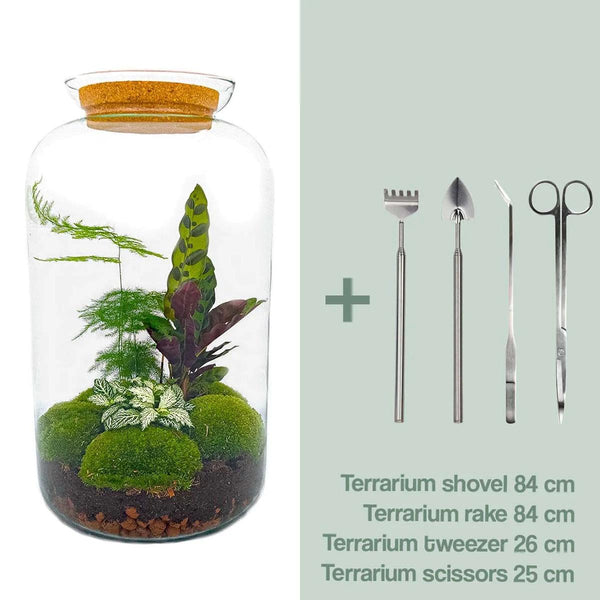 Shanti: Bonsai van Innerlijke Vrede - DIY Planten Terrarium met licht - XL Botanical - Ø23cm ↑43cm + Toolkit