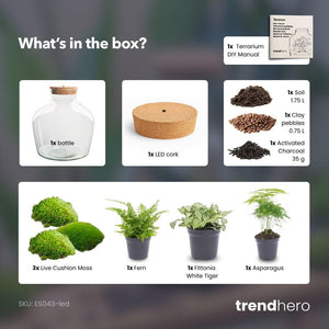 Jiva: Ziel van Groei - DIY Planten Terrarium met Licht - Ø29cm ↑30cm