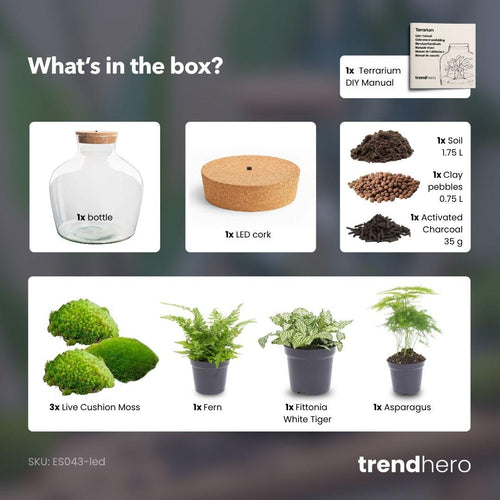 Jiva: Ziel van Groei - DIY Planten Terrarium met Licht - Ø29cm ↑30cm