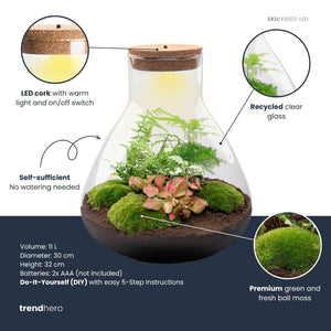 Satori: Bonsai van Ontwaking - DIY Planten Terrarium met Licht - Ø 30 cm ↑32cm