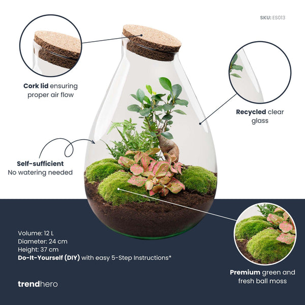 Rudra: Bonsai van Transformatie - DIY Planten Terrarium - Ø24cm ↑37cm