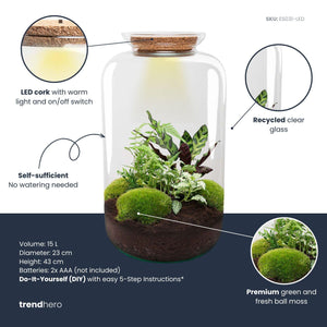 Shanti: Bonsai van Innerlijke Vrede - DIY Planten Terrarium met licht - Ø23cm ↑43cm