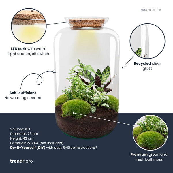 Shanti: Bonsai van Innerlijke Vrede - DIY Planten Terrarium met licht - Ø23cm ↑43cm