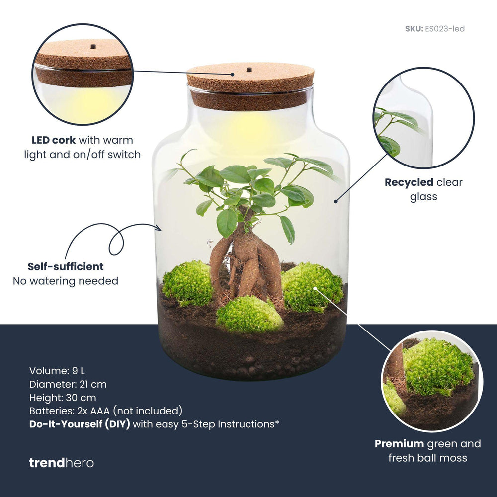 Milkyāna: Bonsai Sterrenpad - DIY Planten Terrarium met Licht - Ø21cm ↑30cm