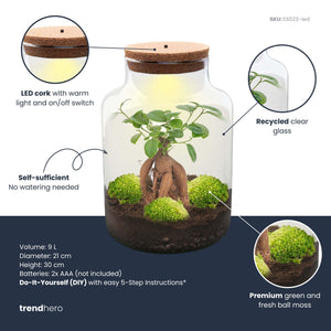 Milkyāna: Bonsai Sterrenpad - DIY Planten Terrarium met Licht - Ø21cm ↑30cm
