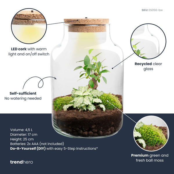 Milkyāna: Bonsai Sterrenpad - DIY Planten Terrarium met Licht - Ø17cm ↑25cm