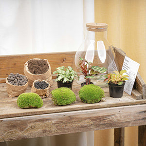 Satori: Bonsai van Ontwaking - DIY Planten Terrarium met Licht - Ø24,5cm ↑30cm