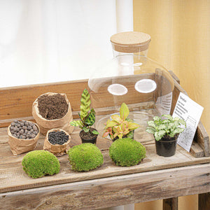 Jiva: Ziel van Groei - DIY Planten Terrarium met Licht - Ø29cm ↑30cm