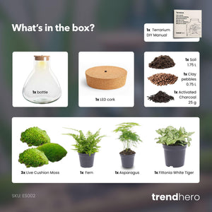 Satori: Bonsai van Ontwaking - DIY Planten Terrarium met Licht - Ø30cm ↑32cm