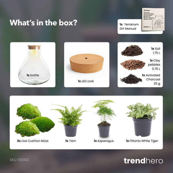 Satori: Bonsai van Ontwaking - DIY Planten Terrarium met Licht - Ø30cm ↑32cm