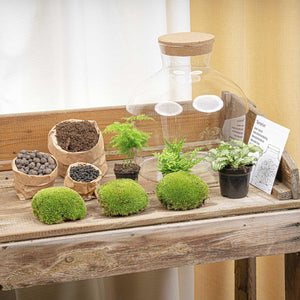 Jiva: Ziel van Groei - DIY Planten Terrarium met Licht - Ø29cm ↑30cm