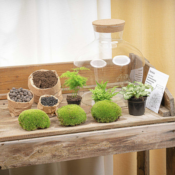 Jiva: Ziel van Groei - DIY Planten Terrarium met Licht - Ø29cm ↑30cm
