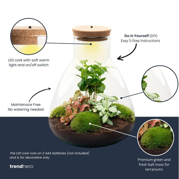 Satori: Bonsai van Ontwaking - DIY Planten Terrarium met Licht - Ø24,5cm ↑30cm