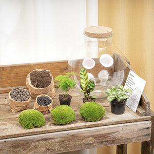 Bhūmi: De Aarde Verbinder - DIY Planten Terrarium – Zelfvoorzienend Mini-Ecosysteem L/XL