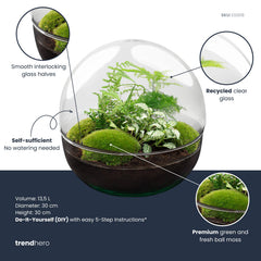 Dharma: Bonsai van Balans - DIY Planten Terrarium Tweedelig Bolglas -Ø28cm ↑28cm