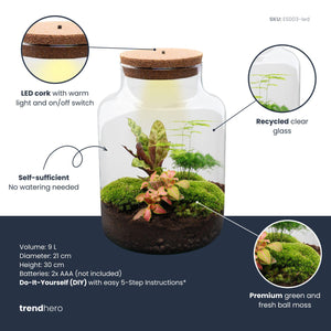 Milkyāna: Bonsai Sterrenpad - DIY Planten Terrarium met Licht - Ø21cm ↑30cm