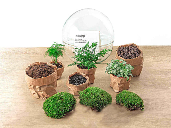 Dharma: Bonsai van Balans - DIY Planten Terrarium Tweedelig Bolglas -Ø28cm ↑28cm