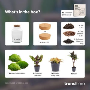 Milkyāna: Sterrenpad - DIY Planten Terrarium met Licht - Ø21cm ↑30cm