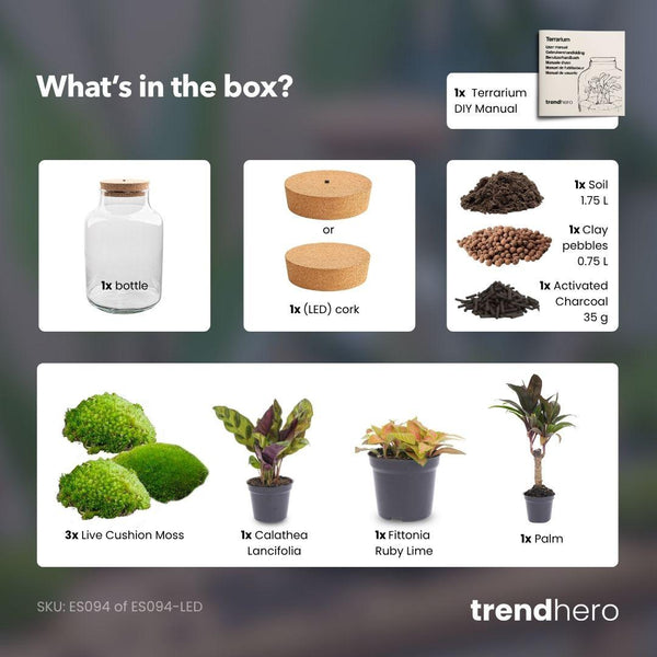 Milkyāna: Sterrenpad - DIY Planten Terrarium met Licht - Ø21cm ↑30cm