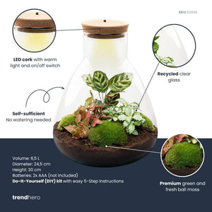 Satori: Bonsai van Ontwaking - DIY Planten Terrarium met Licht - Ø24,5cm ↑30cm