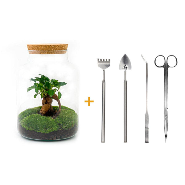 Milkyāna: Bonsai Sterrenpad - DIY Planten Terrarium met licht - Ø21cm ↑30cm + 4-delige Toolkit