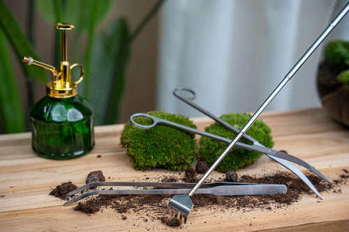 Terrarium Pincet RVS – Lange Plant Pincet voor Terrarium Verzorging