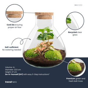 Sūrya: Bonsai van Licht - DIY Terrarium - Ø22,5cm ↑27cm