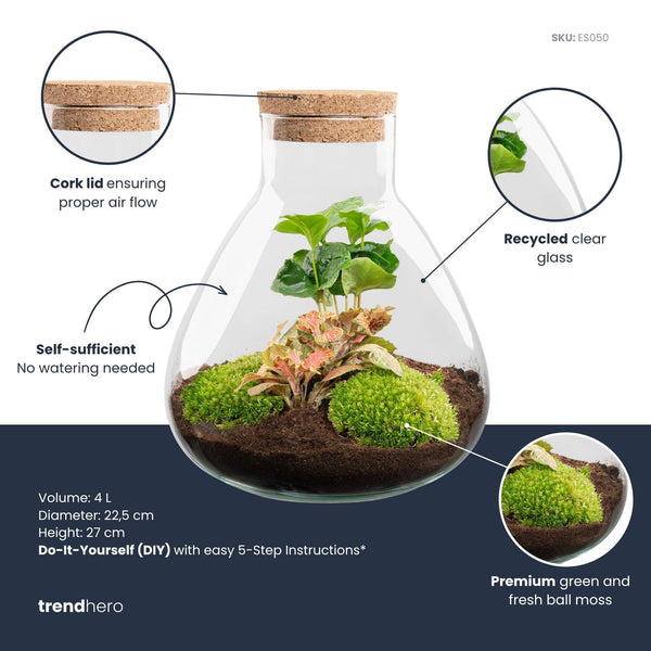 Sūrya: Bonsai van Licht - DIY Terrarium - Ø22,5cm ↑27cm